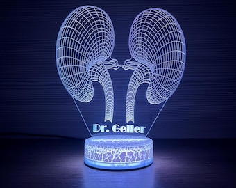 Personalized Gift For Nephrologist Kidney Light Kidney Lamp Led Lamp 3D Night Lamp 3D Night Light Children Light 3D Illusion LED Lamp