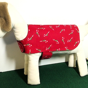 May include: A stuffed dog figure wearing a red coat with a candy cane pattern. The dog has cream-colored fur and brown ears. Small snowman figures and red and green ornaments are scattered nearby. The dog is standing on a green surface.