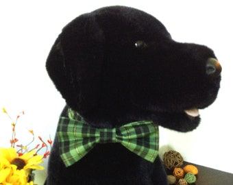 Dog Bow Tie and Matching Neck Band, Removable 14-16" Neck Strap with Velcro Closure, Size Medium, Green Tartan Plaid, Individually Handmade