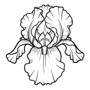 May include: A black and white line drawing of an iris flower. The flower has large, ruffled petals and detailed inner structures. The image is a simple, elegant illustration of a botanical subject.