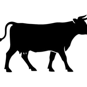 Op de afbeelding: Een zwart silhouet van een koe in profiel, lopend van links naar rechts. De koe heeft hoorns, een staart en een uier. De achtergrond is effen wit.