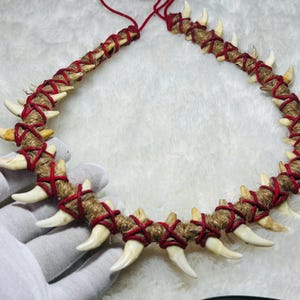 Puede incluir: Un collar circular hecho de dientes puntiagudos de color blanquecino, de unos 3,8 cm de largo, unidos con un cordón de fibra natural y hilo rojo. El diseño presenta una estética rústica, con los dientes espaciados uniformemente.