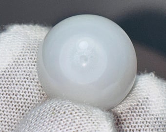 Natural Scallop Pearl- Non Nacreous - 12.5ct - Etsy