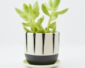 Mini porcelaine peinte succulente planteur avec Drain plat à la main