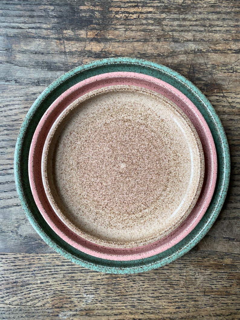 MADE TO ORDER Wheel Thrown Speckled stoneware dinner dessert bread plates with black stripe image 6