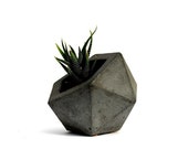 Geodesic Concrete Planter