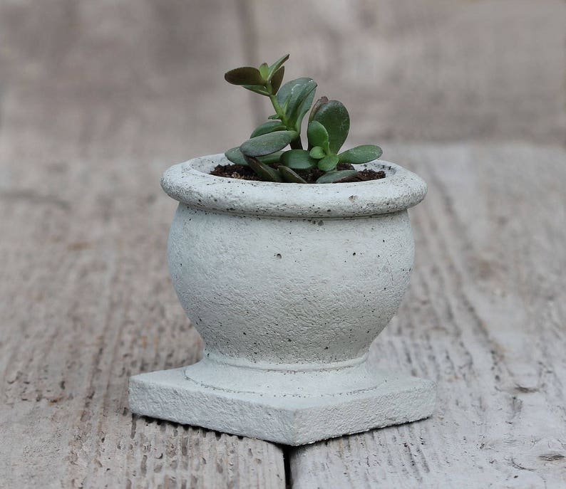 Succulent Concrete Planter