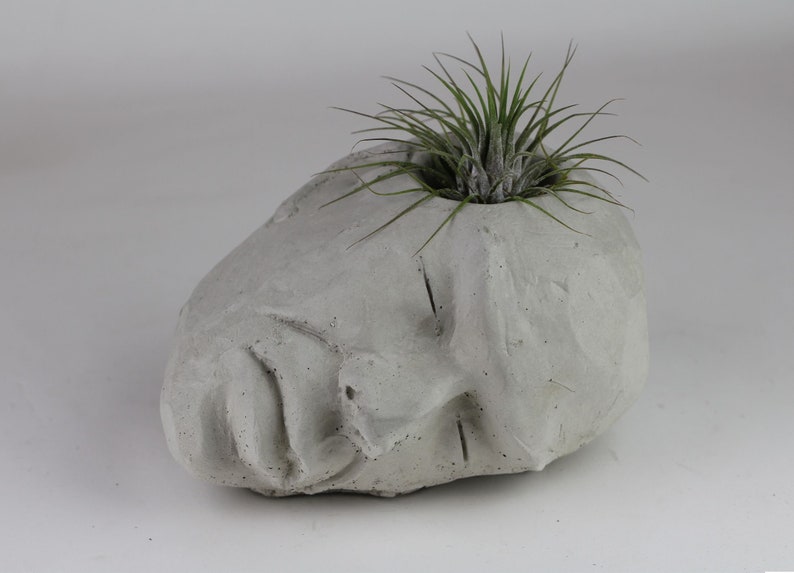Concrete Head Air Plant Holder Succulent Planter