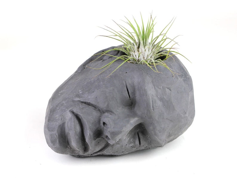 Concrete Head Air Plant Holder Succulent Planter