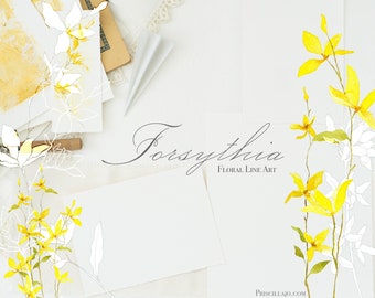 Forsythia Line Drawings | 20 Floral Digital Downloads | Watercolor and Ink Line Art