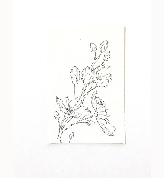 Boceto a lápiz de flor de cerezo / Dibujo original de línea - Etsy España Boceto a lápiz de flor de cerezo / Dibujo original de línea - Etsy España