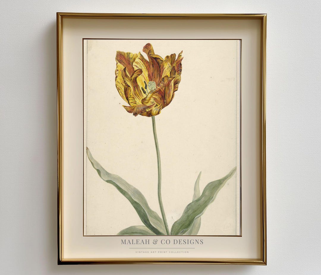 Vintage Tulip Botanical Print: Antique Floral Wall Art (digital ...