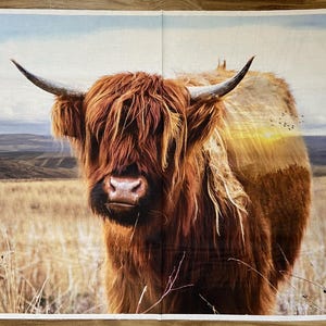 Könnte beinhalten: Nahaufnahme einer Highland-Kuh mit langem, zotteligem, rotbraunem Fell. Die Kuh hat große Hörner und steht vor einem Hintergrund aus Feld und Sonnenuntergang. Das Bild ist auf Stoff gedruckt.
