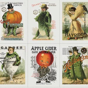 Pumpkin Patch Seedy Character Panel PD14572- J. Wecker Frisch- Riley Blake quilt cotton fabric 24x43 inch