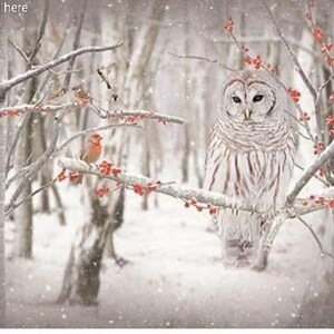 OOP Hoffman Call of the Wild Birch/Owl cotton Panel S4722-126 white owl panel Harry Potter owl in the snow with red berries Top Trimmed panel