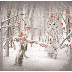May include: A serene winter scene featuring a Barred Owl perched on a snow-covered branch with red berries. Several small birds are also perched on branches. The background shows a snowy forest with falling snowflakes, creating a peaceful, naturalistic image.