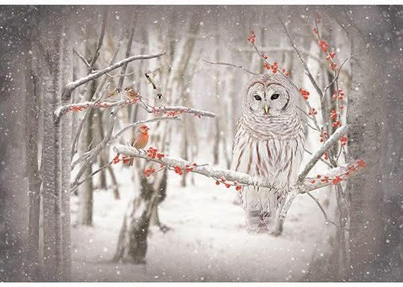 OOP Hoffman Call of the Wild Birch/Owl cotton Panel S4722-126 white owl panel Harry Potter owl in the snow with red berries