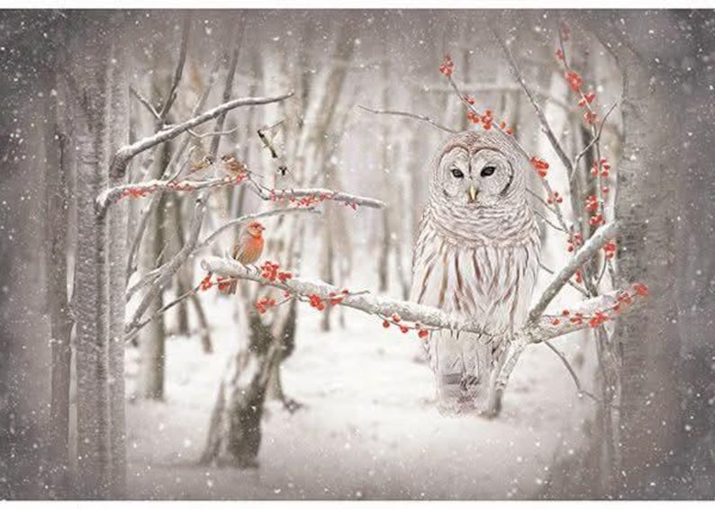 May include: A serene winter scene featuring a Barred Owl perched on a snow-covered branch with red berries. Several small birds are also perched on branches. The background shows a snowy forest with falling snowflakes, creating a peaceful, naturalistic image.