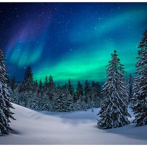 May include: A winter landscape featuring snow-covered evergreen trees and a snow-covered ground. The night sky displays the aurora borealis with vibrant green and blue hues, and a scattering of stars.