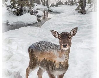 Call Of The Wild Hoffman Panel Fawn Deer in the snow forest Panel V5211 deer wall arts