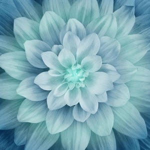 May include: A symmetrical dahlia flower featuring numerous overlapping petals in shades of soft blue, teal, and aqua. The petals radiate from a bright, light-colored center, creating a dense, layered, and circular floral pattern with fine textures.