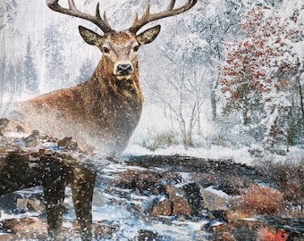 Panel de algodón Wild Stag de la colección Call of the Wild de Hoffman Fabrics: alce/ciervo macho/ciervo en el bosque nevado con un pájaro cardenal S#Q4460