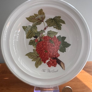 Vintage Portmeirion Pomona Bowl – “The Red Currant” – Large Fruit/Salad Bowl – Made in England