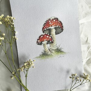 Watercolour original fly agaric mushroom set of 3 A5