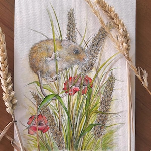 little harvest mouse