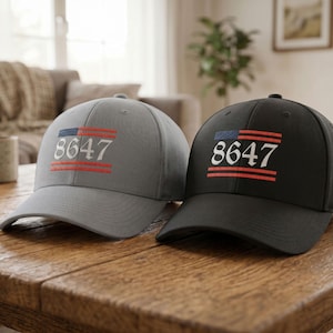 Anti Trump 8647 Politische Statement-Hut, Flexfit geschlossen zurück