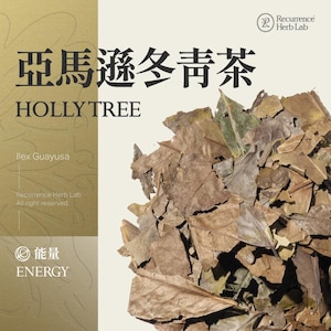 Holly tree Ilex guayusa 10g