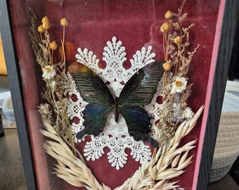 Large Shadow Box with Butterfly
