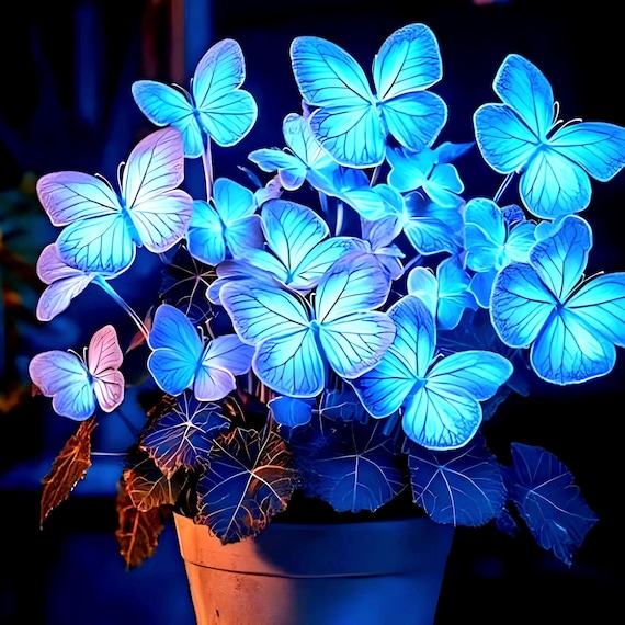 Heirloom Blue Butterfly Coleus Seeds: Rare Ornamental Foliage