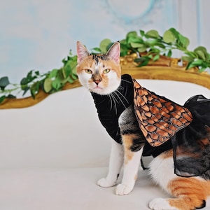 Cat tutu - Checkerspot Butterfly inspired cat dress, cat costume to make your kitty feel pretty :)