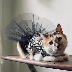 Cat Tutu - The Gold Digger cat costume, cat outfit