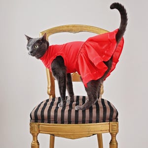 Cat Tutu inspired by Lizzo Vogue cover - cat outfit, cat costume
