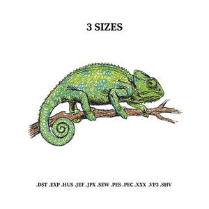 May include: A detailed illustration of a green chameleon perched on a brown branch. The chameleon has a textured, speckled appearance. The text "3 SIZES" is above the chameleon, and file extensions are below.