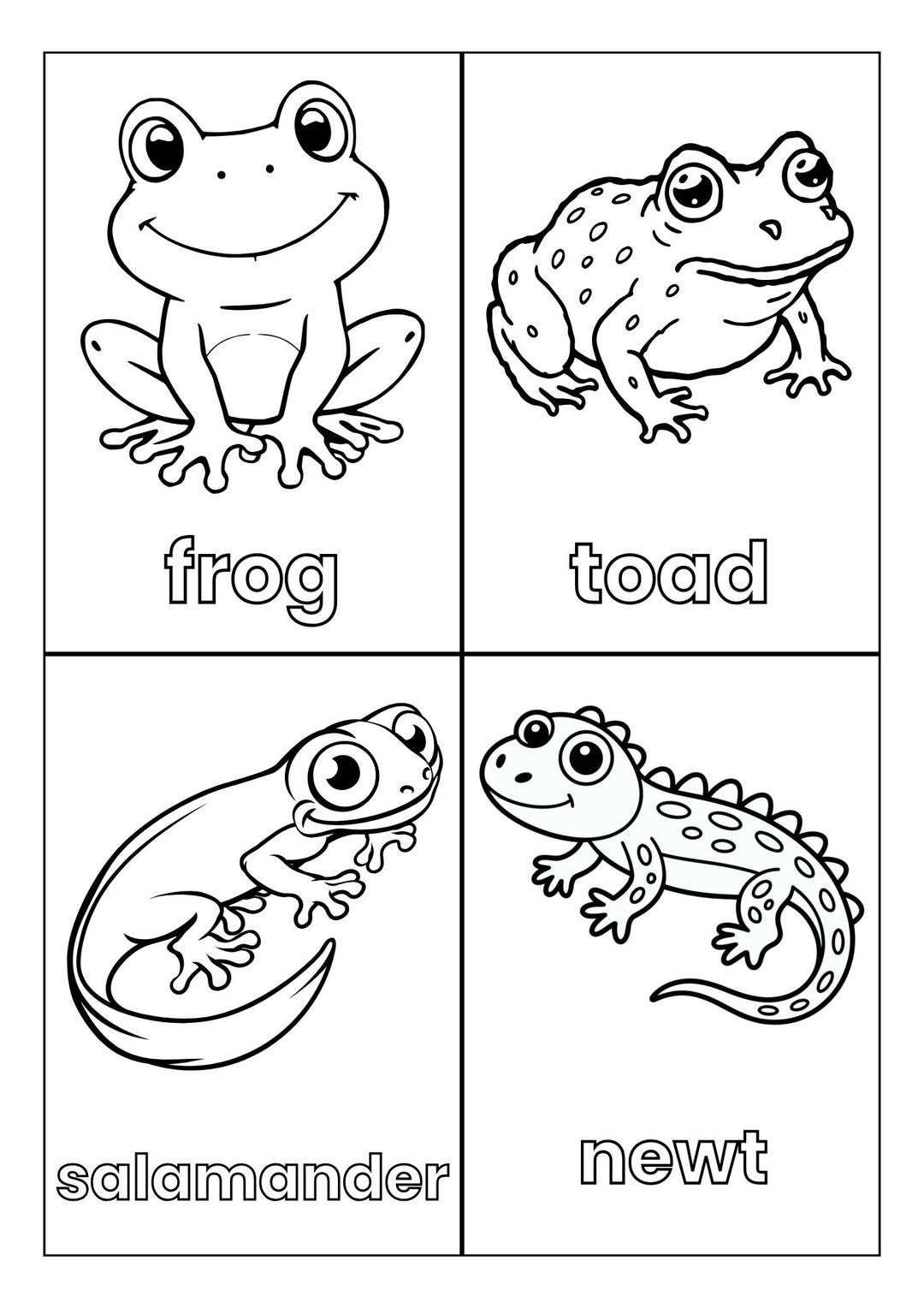 Reptiles, Amphibians & Creepy Crawlies Coloring Pages for Kids, 32 ...