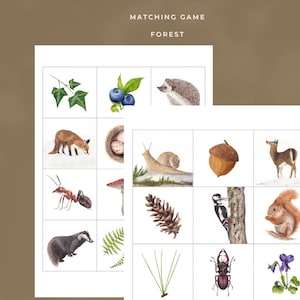 Juego de memoria y emparejamiento del bosque para niños: tarjetas de memoria ilustradas con animales y plantas (PDF imprimible)
