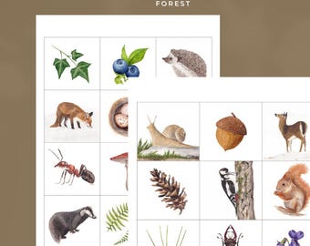 Woodland Memory/Matching Game voor kinderen – Geïllustreerde geheugenkaarten met dieren en planten – afdrukbare pdf