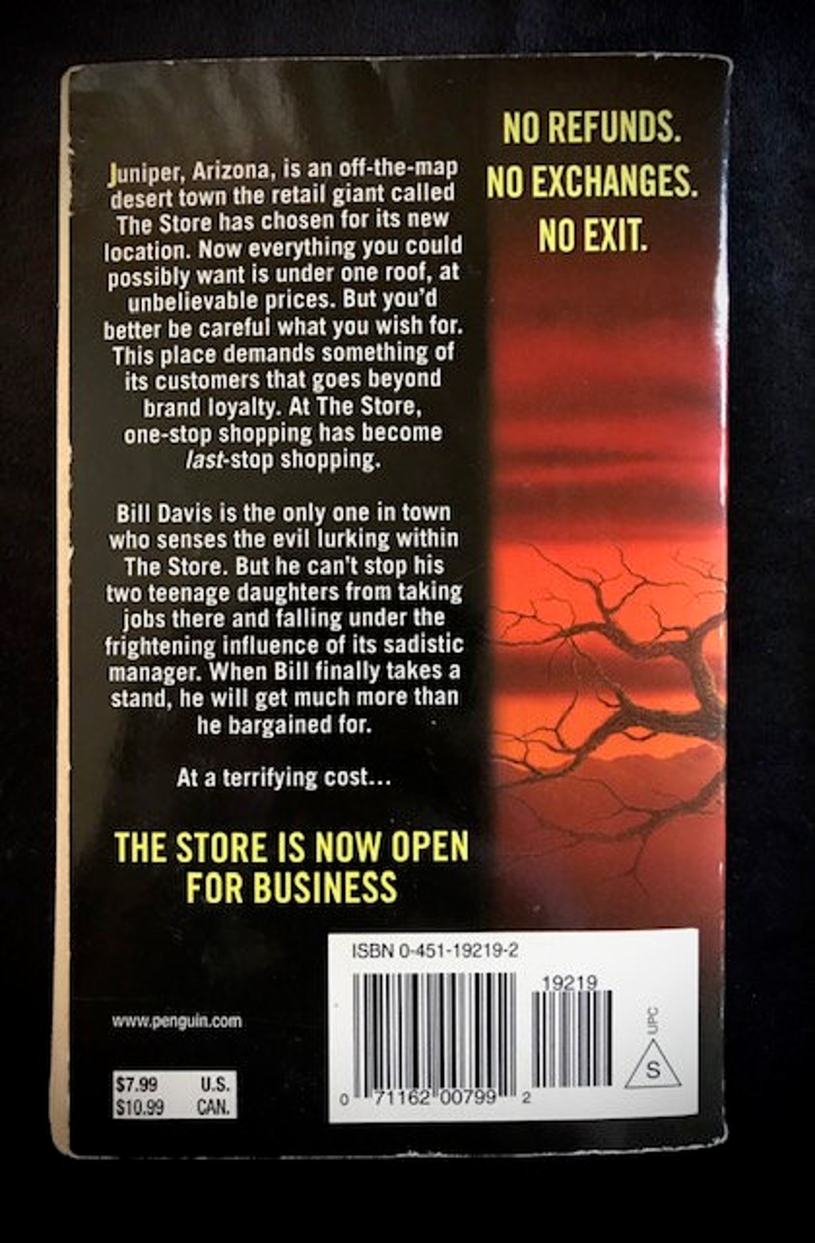 The Store by Bentley Little Vintage Horror Paperback | Etsy