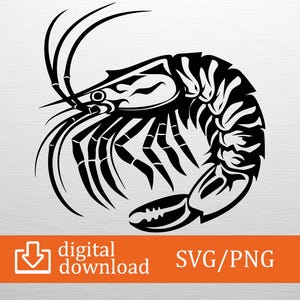 Shrimp SVG PNG Digital Download - Seafood Clipart, Cricut File, T-Shirt Design, Ocean Decor, Kitchen Art, Vinyl Decal, Shrimp Gift