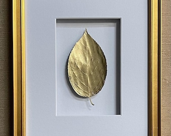 Framed Real Pressed Hydrangea Leaf in Gold Leaf