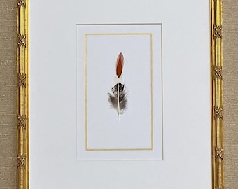 Framed Real Feathers in Ornate Gold
