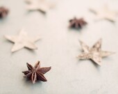 Food photography star anise print -  rustic home decor - christmas holiday photo modern dreamy whimsical brown silver white