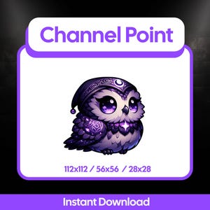 May include: A digital illustration of a purple owl wearing a nightcap, with large purple eyes and a star-shaped gem on its chest. The image includes the text "Channel Point" and "Instant Download". The owl is set against a white background.