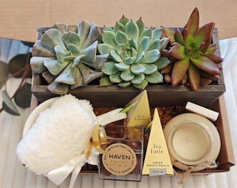 Housewarming Gift Box, New Home Gift Care Package Congratulations New Home Gift Congrats on Your New Apartment First Home Moving-In Gift Set