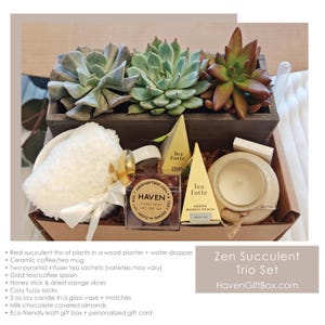 K&ouml;nnte beinhalten: Ein Holzkasten gef&uuml;llt mit drei Sukkulenten, einer Keramiktasse, einer wei&szlig;en flauschigen Socke, einer kleinen Schachtel Pralinen, zwei Teebeuteln und einer Sojawachskerze. Der Kasten ist mit "Haven GiftBox.com" beschriftet und die Teebeutel mit "Tea Forte".