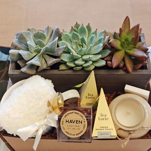 May include: A wooden box filled with a variety of gifts, including a white mug with a gold trim, a white towel, a small box of chocolates, a candle, and two tea sachets. The box also contains a small potted succulent plant.