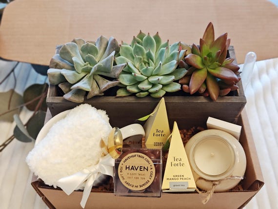 Succulent Gift Box, Succulent Trio in Planter, Corporate Gift Box, Self-Care Gift Set for Her, Tea and Candle Gift Set, Gift Box for Women